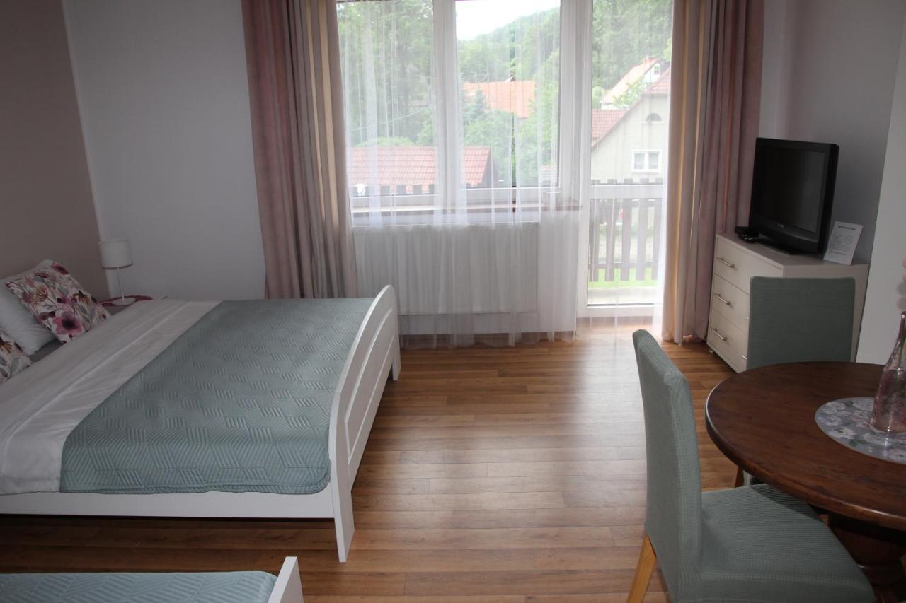 Apartamenty Agat Pieszyce Extérieur photo